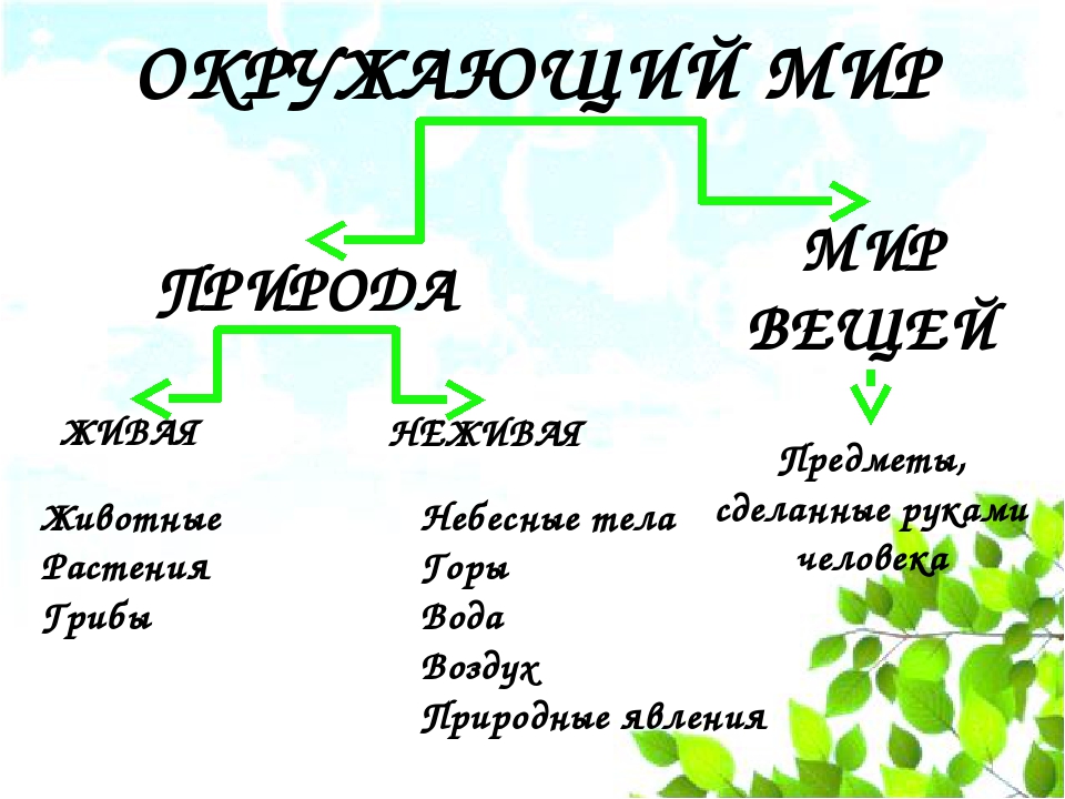 Проект по окружающему миру 2 класс живая природа