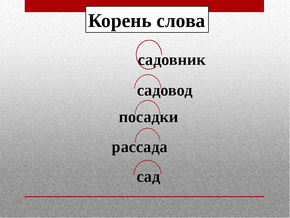 Слова с корнем г. Корень слова. Слова с корнем сад. Сад проверочное слово. Выдели корень. Сад.