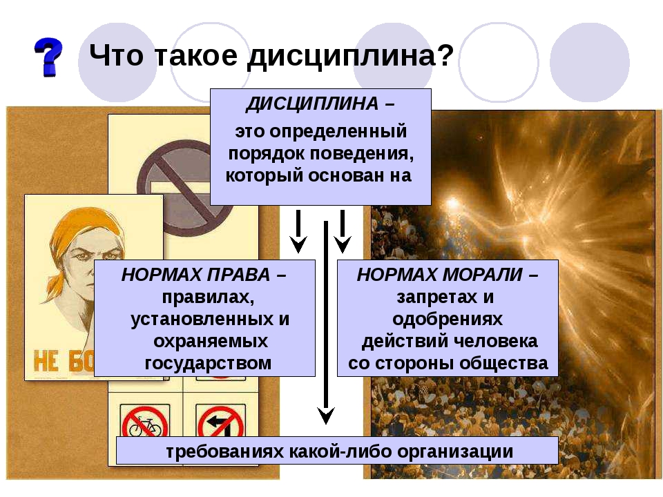 Презентация что такое дисциплина 7 класс обществознание