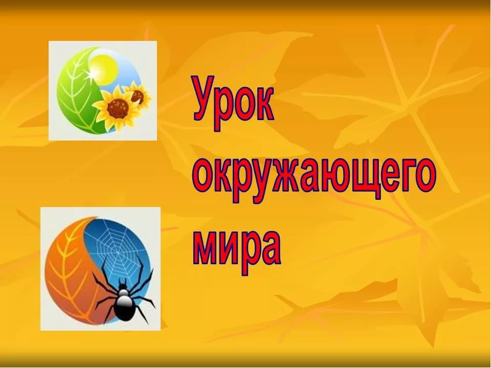 Окр мир уроки. Урок окружающего мира. Урок окружающий мир. Урок окружающего мира презентация. Урок окружающего мира 1 класс.