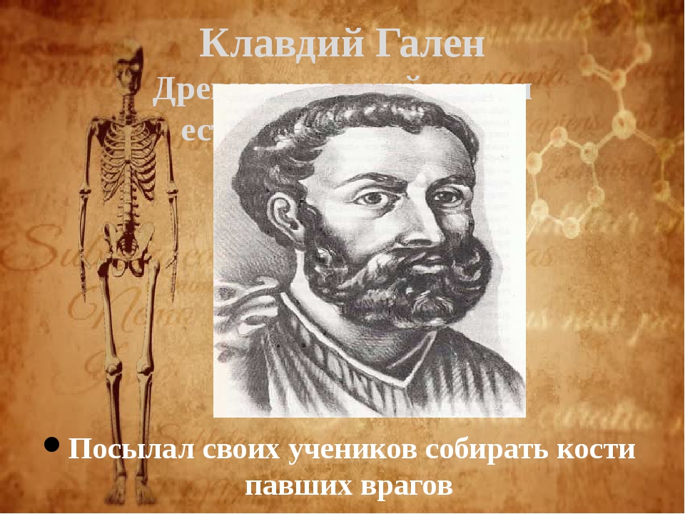 Аристотель гален. Отношение Галена к Платону. Парт Гален. Гален тий.