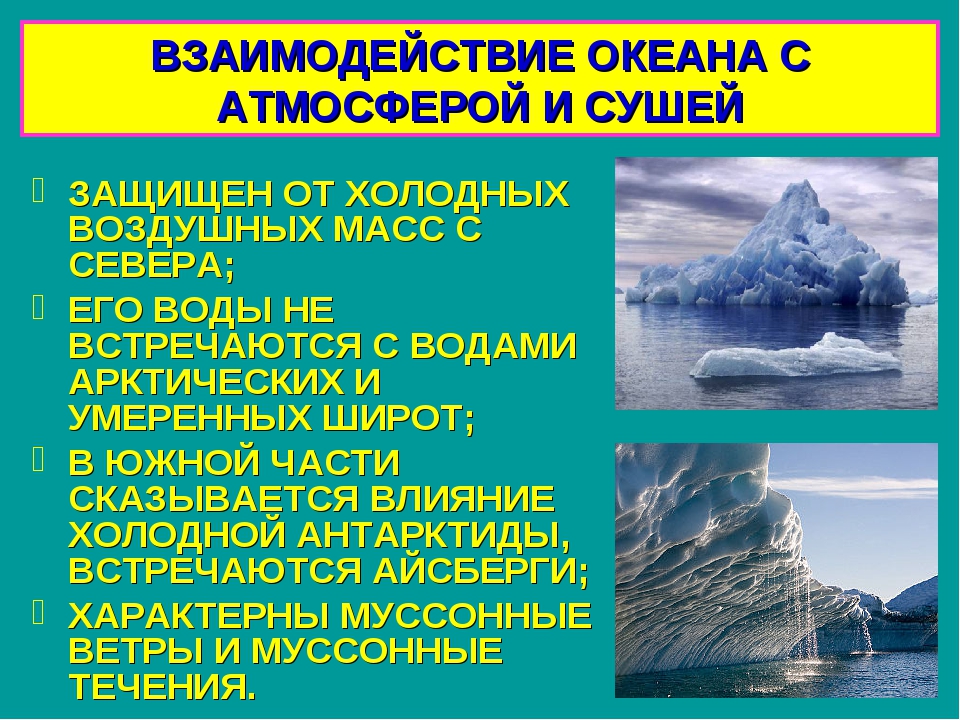 Жизнь на суше презентация 6 класс