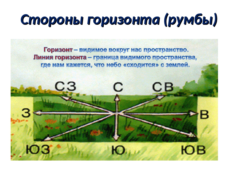 Второй горизонт. Стороны горизонта румбы. Как определить Горизонт. На плане стороны горизонта определяют по. Линия горизонта на карте.