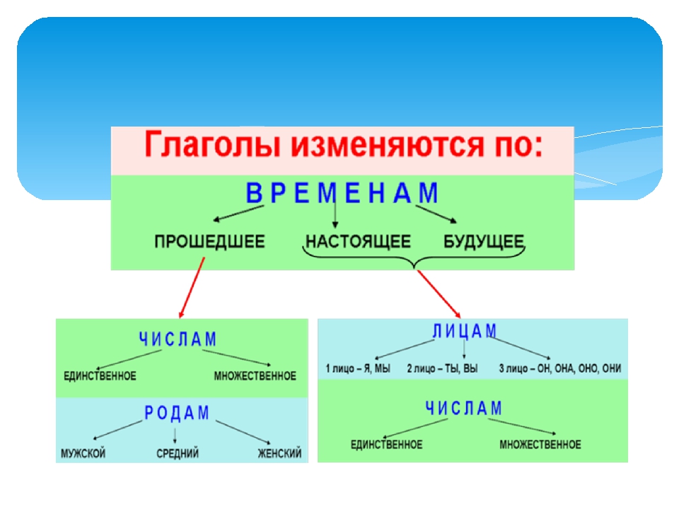 Глагол в форме настоящего времени единственного. Глаголы изменяются по лицам числам и родам. Изменение глаголов по по лицам числам и родам. Таблица изменение по родам глаголов прошедшего времени. Глаголы изменяются по таблица.