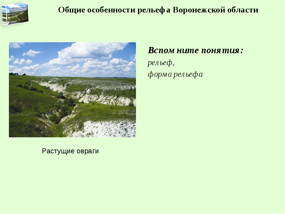 Характерная форма рельефа. Формы рельефа Воронежской области. Отрицатель форма рельефа. Характеристика рельефа Воронежской области. Воронеж форма рельефа.