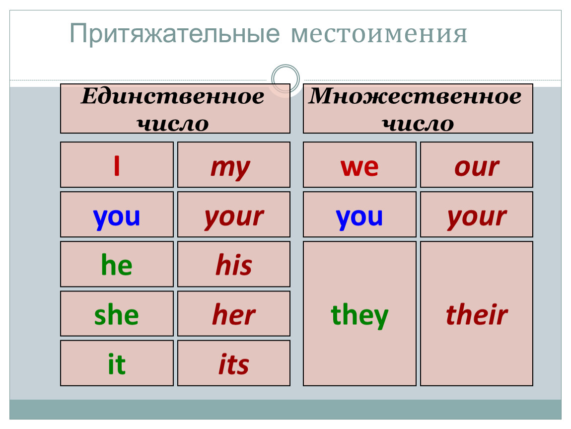 Притяжательные местоимения в английском. Притяжаетльные метсоименя в англ. Притежатнлтныеместоимения в английском. Притяжательные местоимения вы англ. Притяжательные местоимения в английском множественное число.