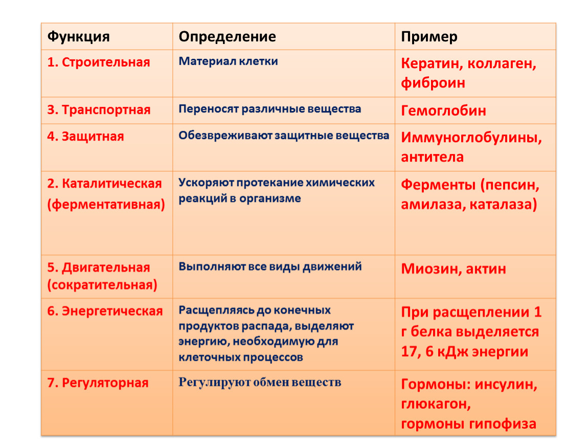 Белки биология 10. Белки характеристика 10 класс. Свойства белков 10 класс. Функции белков 10 класс таблица функции характеристика. Функции белков биология 10 класс конспект.