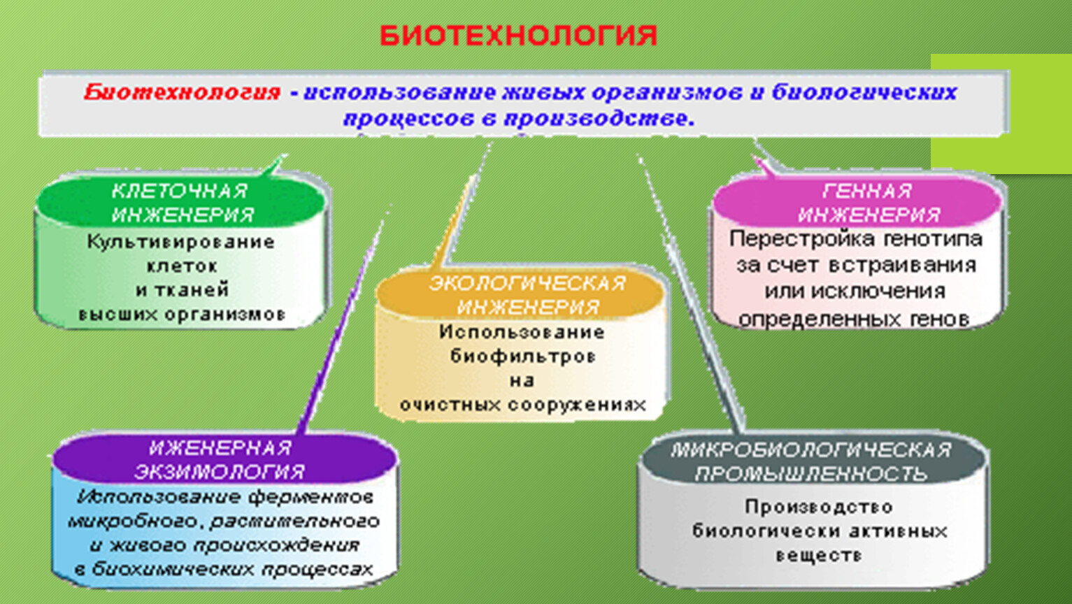 Современные биотехнологии проект