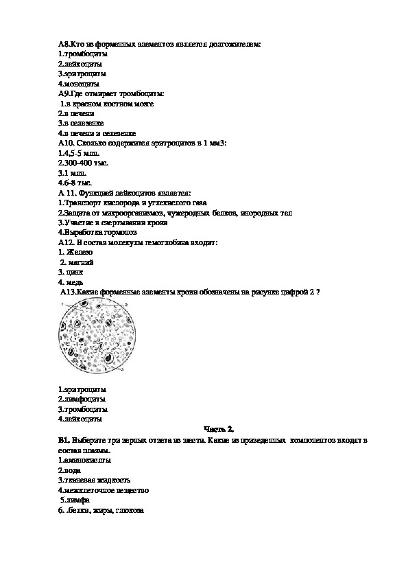 Проекты по анатомии 8 класс