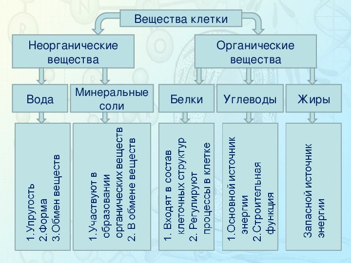 Презентация на тему органические и неорганические вещества