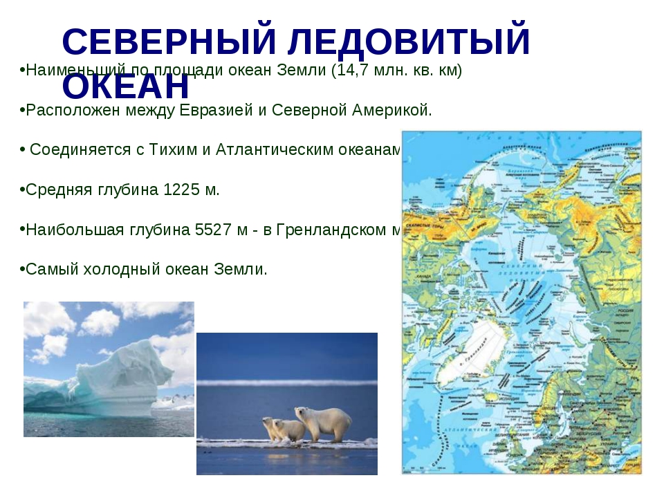 Средняя глубина северного ледовитого. Описание Северного Ледовитого океана. Проект Северо Ледовитого океана. Северный океан презентация. Северный Ледовитый океан презентация.