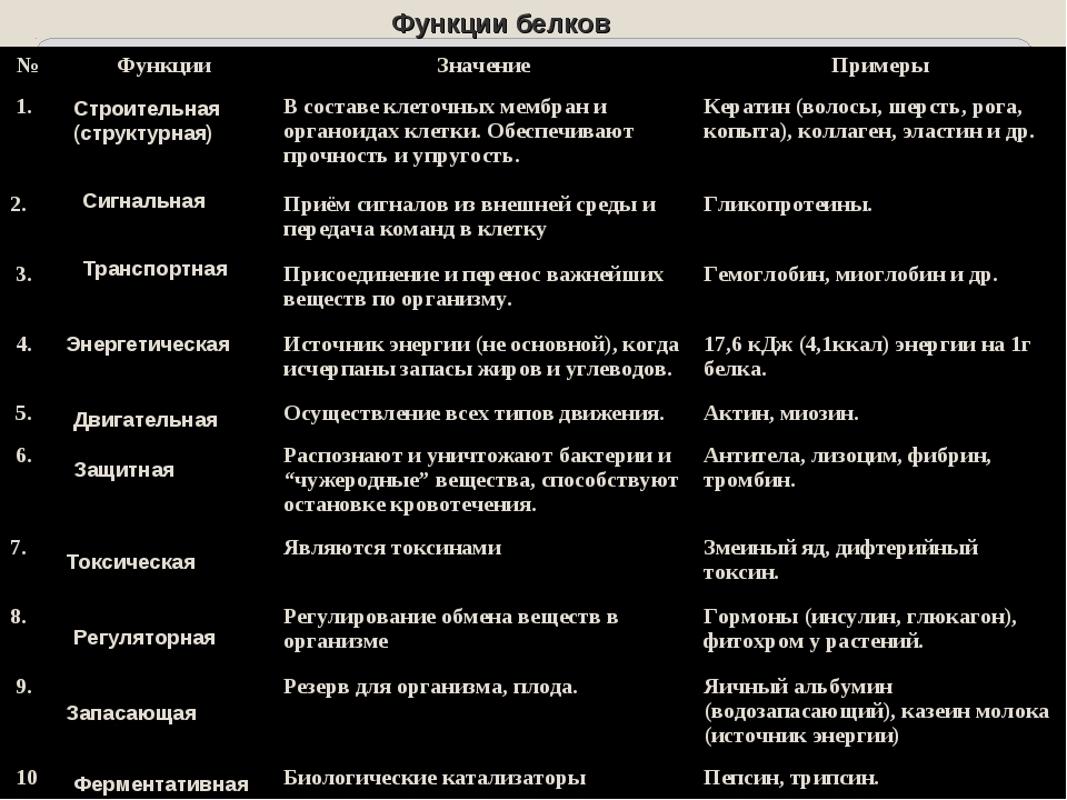 Примеры белков