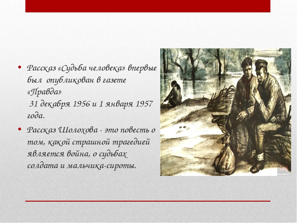 Краткий пересказ судьба человека очень кратко. Темы сочинений судьба человека 9 класс. Темы сочинений судьба человека Шолохов 9 класс. Сочинения судьба человека кратко о рассказе. Шолохов судьба человека.