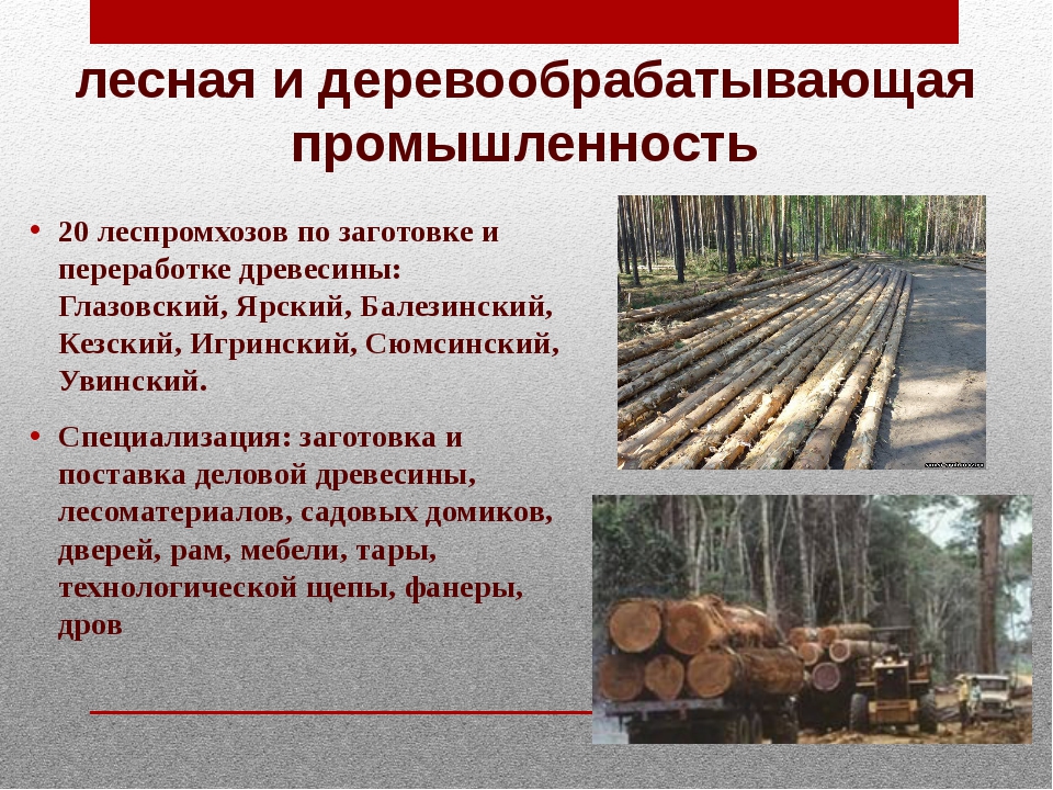 Лесная и деревообрабатывающая страны. Лесная и деревообрабатывающая промышленность. Отрасли Лесной и деревообрабатывающей промышленности. Лесная промышленность и Деревообработка. Лесная и Лесоперерабатывающая отрасли.