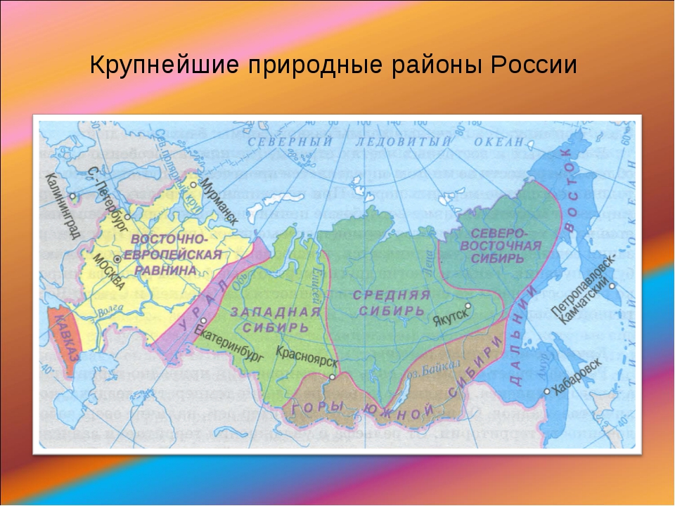 Природные районы россии 8 класс география презентация