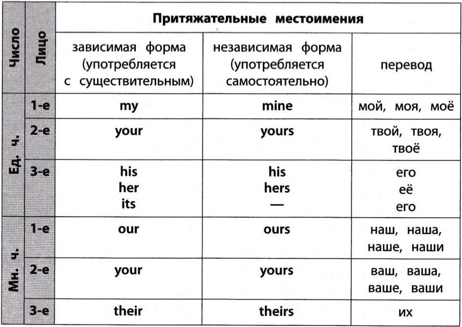 Притяжательные местоимения 6 класс презентация