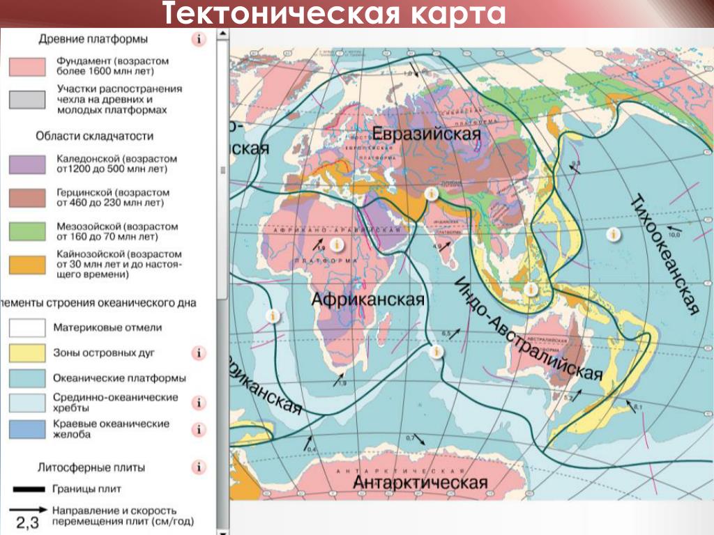 Зоны тектонической активности. Тектоническое строение Евразии карта. Тектоническая карта Евразии 7 класс география. Древние платформы литосферных плит.