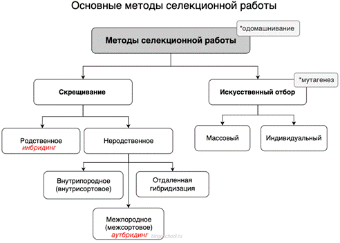 Методы селекции схема