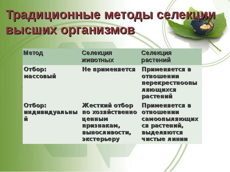 Современные методы селекции растений презентация