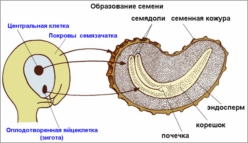 На рисунке 105