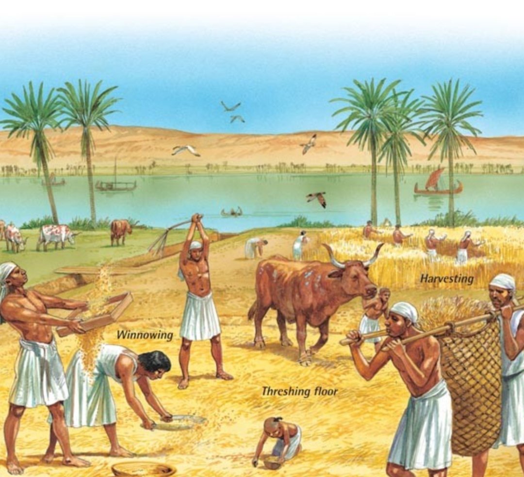 Древний Египет река Нил сельское хозяйство