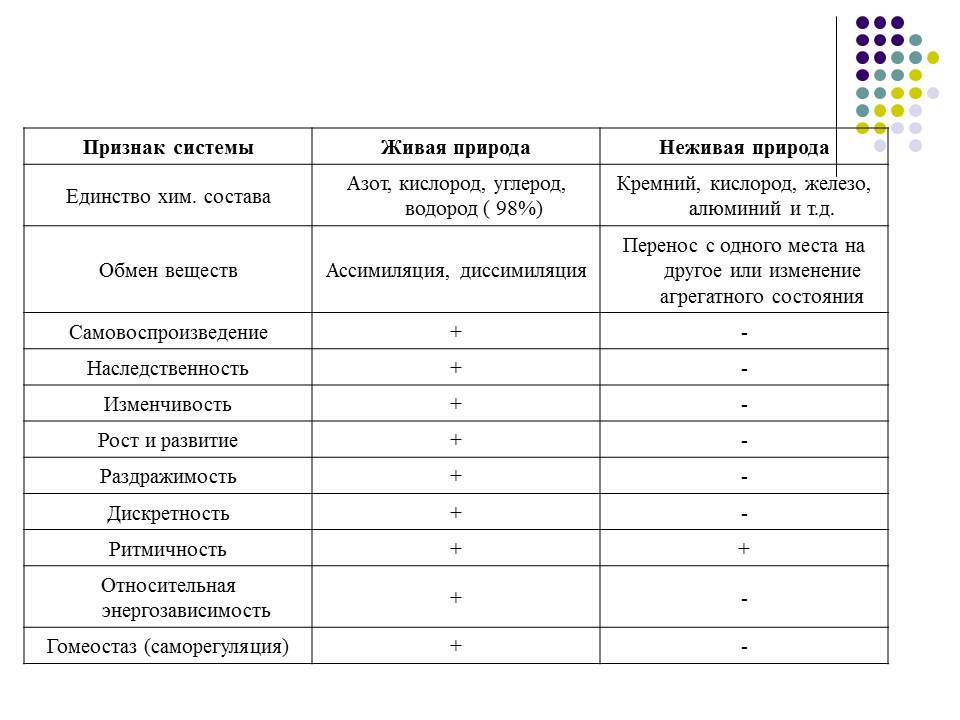 В чем отличие живого от неживого в структурном плане