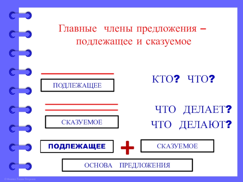 Слова главных членов