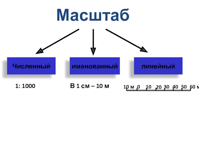 Масштаб 5 класс 8 вид презентация