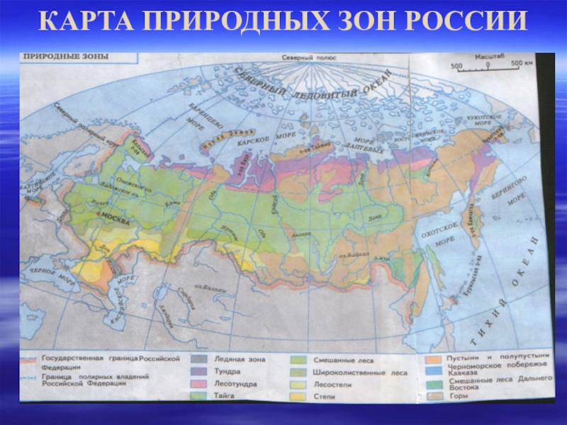 Карта природных зон россии 4 класс с названиями крупным планом