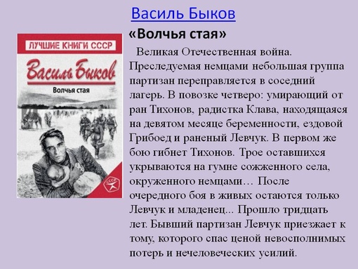 Презентация по произведению быкова сотников