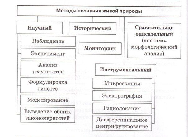 Таблица методы изучения биологии: Методы исследования в биологии (5 класс) – наблюдение и эксперимент в таблице