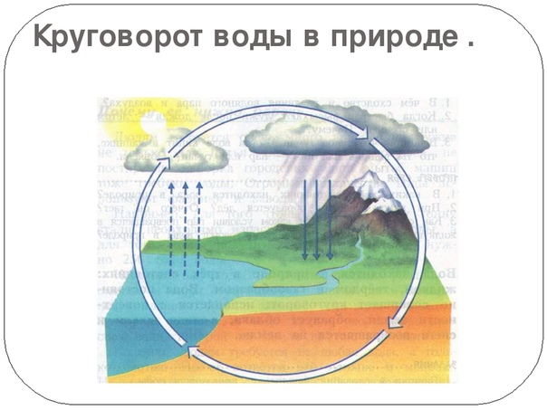 Круговорот воды в природе презентация 11 класс биология