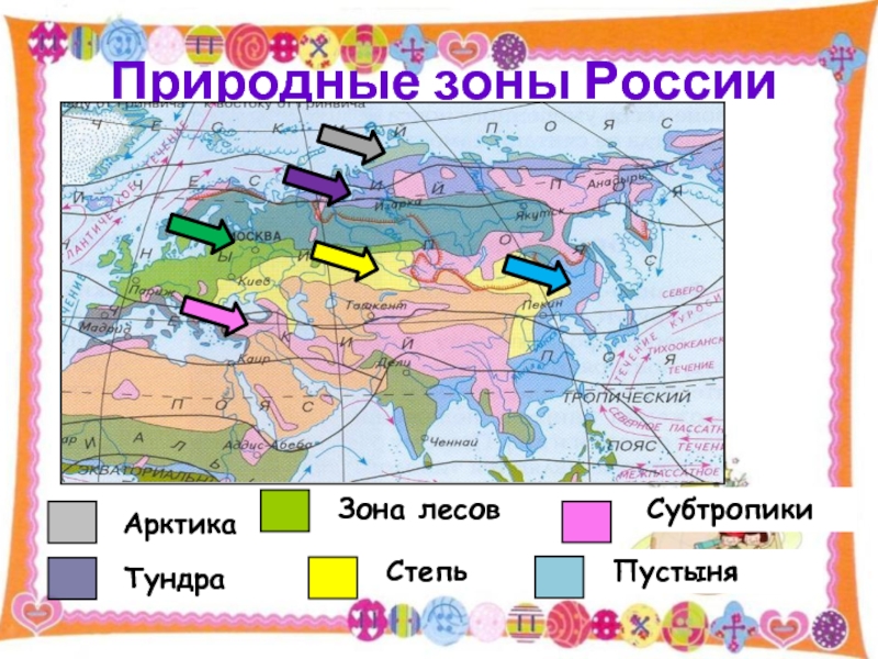 География 8 класс проект природные зоны россии