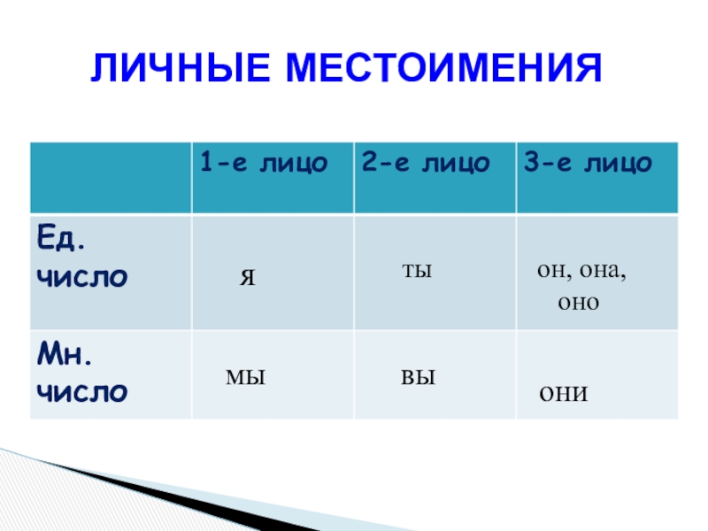 определить род и число прилагательных яркий макияж