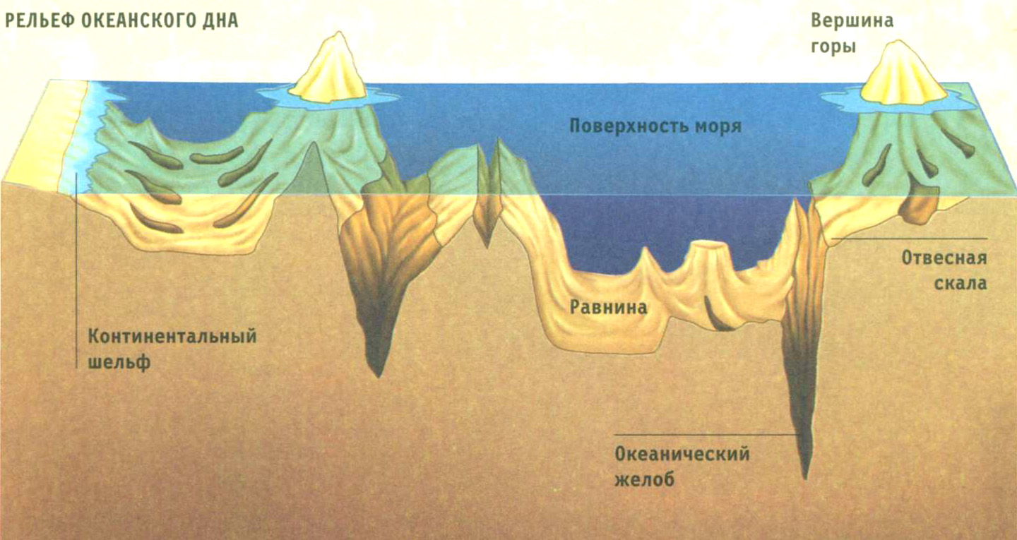 Рельеф дна мирового океана картинки