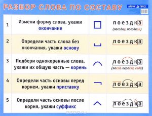 Яблоко фон разбор слова