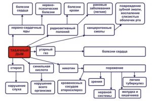 Презентация вред табачного дыма