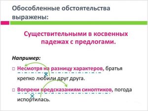 Составьте предложения с данными словами используя их как обособленное приложение обособленное