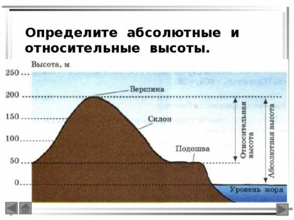 Уменьшенное изображение вертикального разреза земной поверхности по заданному направлению называется