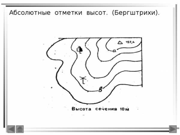 Как называется изображение небольшого участка земной поверхности на плоскости