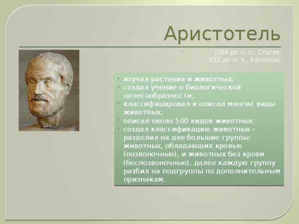 План конспект биология 5 класс параграф 22