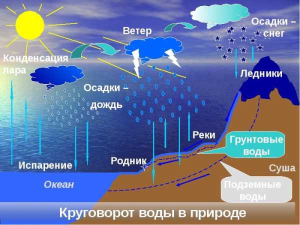 Картинки на тему круговорот воды в природе