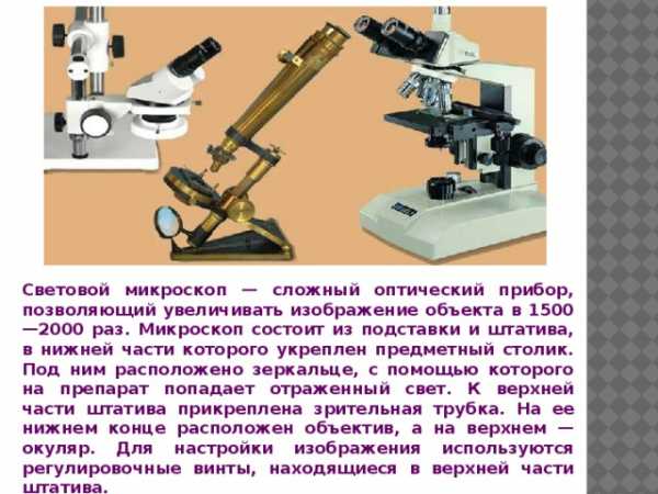 Вероника на уроке изучал устройство штативной лупы и делала соответствующие подписи к рисунку какую