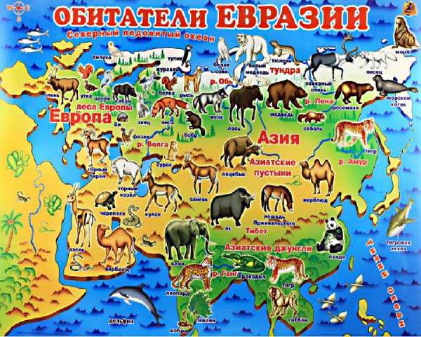 Реферат: Евразийская фауна