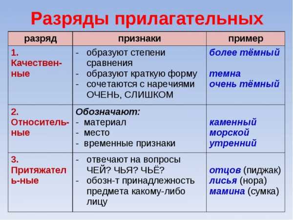 Запишите 5 10 слов тематической группы компьютер можно ли отнести их к разряду неологизмов