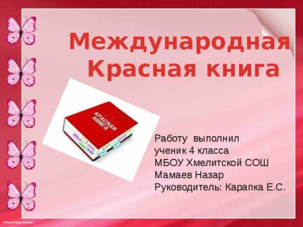 Язык танца язык запахов язык движения план текста из трех пунктов