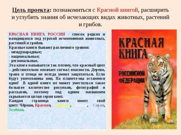 Международная красная книга фото