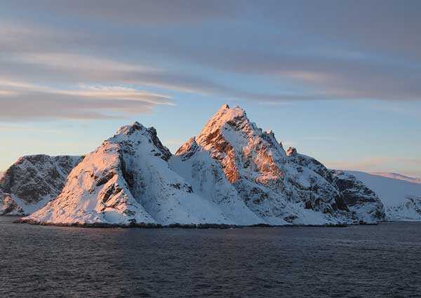 Реферат: История флоры Арктики