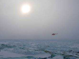 Арктика Реферат Для 4 Класса