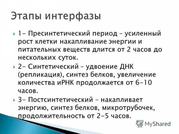 Сколько длится цпд по времени в мвд